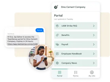 Portal Image w Strike FAQ