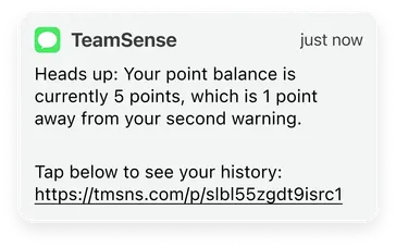 Text message notification